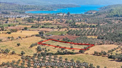 Land with Road Access and Electricity Near the Sea in Kazıklı Bozbük