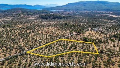 8,841 m² Land and Olive Grove for Sale on KazıklıBozbük Road