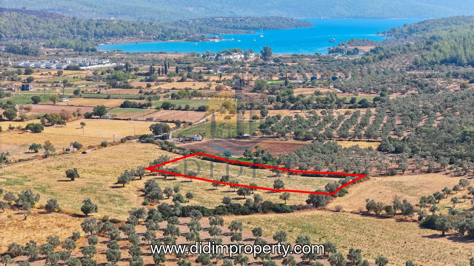 land for rent in Bozbük, Milas