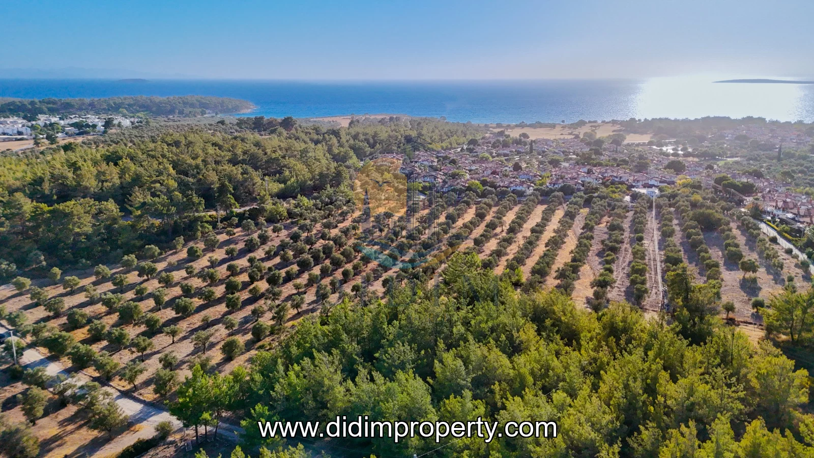 land for rent in Bozbük, Milas