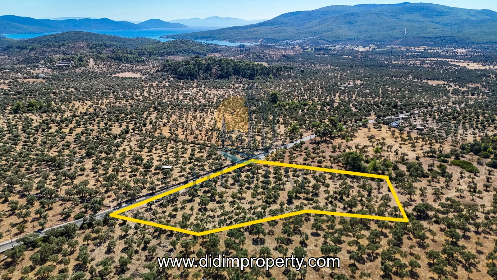 land for rent in Kazıklı, Milas