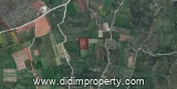 7500 m2 land listing in Kazıklı, Milas