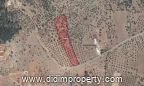 10318 m2 land listing in Kazıklı, Milas
