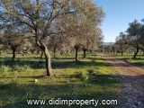 Property photo of land for rent in Kazıklı, Milas