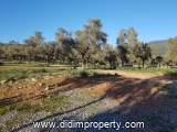10318 m2 land listing in Kazıklı, Milas