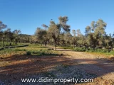 Land listing photo in Kazıklı, Milas