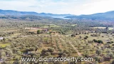 land for rent in Kazıklı, Milas