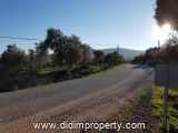 land for rent in Kazıklı, Milas