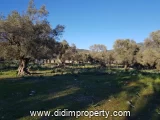 land for rent in Kazıklı, Milas