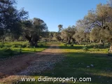 10318 m2 land listing in Kazıklı, Milas