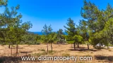 540 m2 villa listing in Akbük, Didim