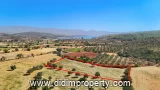 land for rent in Bozbük, Milas