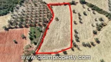Land listing photo in Bozbük, Milas