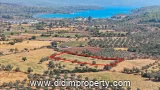 Land with Road Access and Electricity Near the Sea in Kazıklı Bozbük