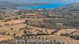 Property photo of land for rent in Bozbük, Milas