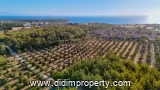 land for rent in Bozbük, Milas