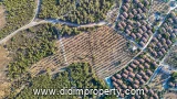 Property photo of land for rent in Bozbük, Milas