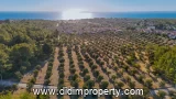 Land listing photo in Bozbük, Milas