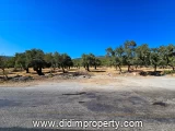 land for rent in Kazıklı, Milas