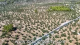 Property photo of land for rent in Kazıklı, Milas