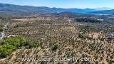 land for rent in Kazıklı, Milas