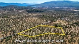land for rent in Kazıklı, Milas