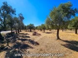 Property photo of land for rent in Kazıklı, Milas