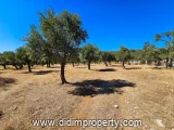 8841 m2 land listing in Kazıklı, Milas