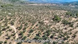 Property photo of land for rent in Kazıklı, Milas